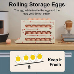 Kitchen Egg Organizer